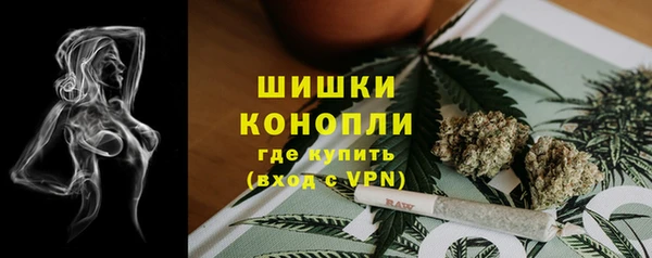 гидропоника Алзамай