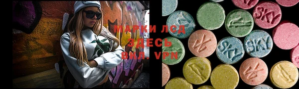 гидропоника Алзамай